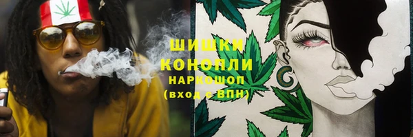 стаф Балахна
