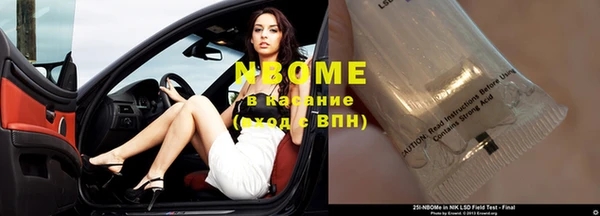 стаф Балахна