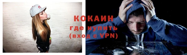стаф Балахна