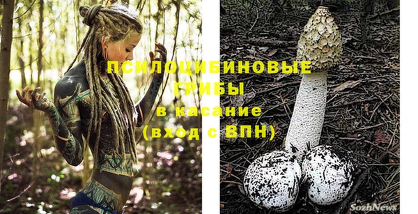 стаф Балахна